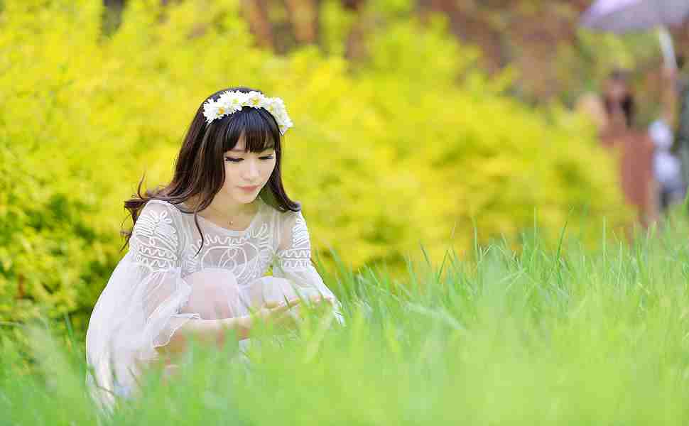 杨紫饰演白菊
